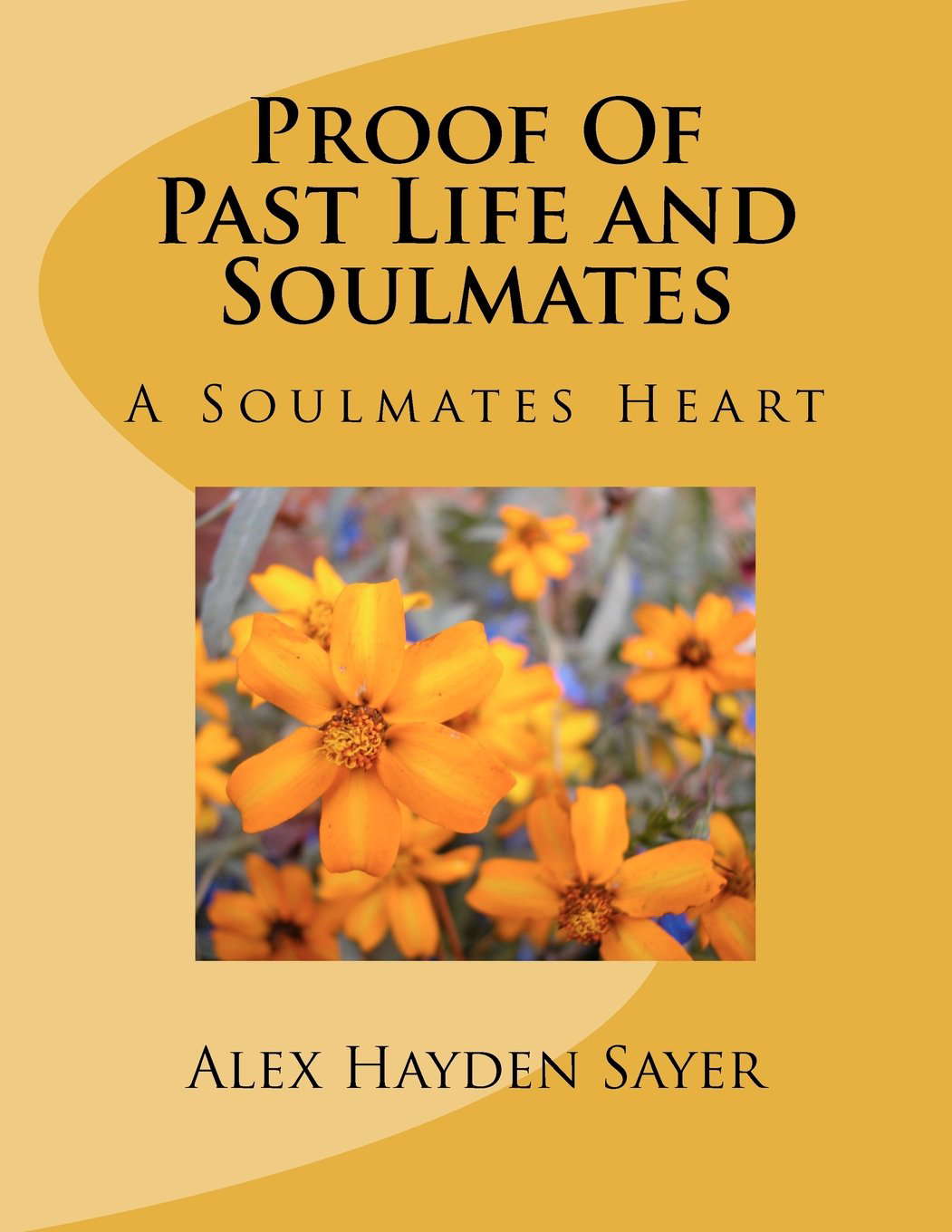 Proof Of Past Life and Soulmates poster
