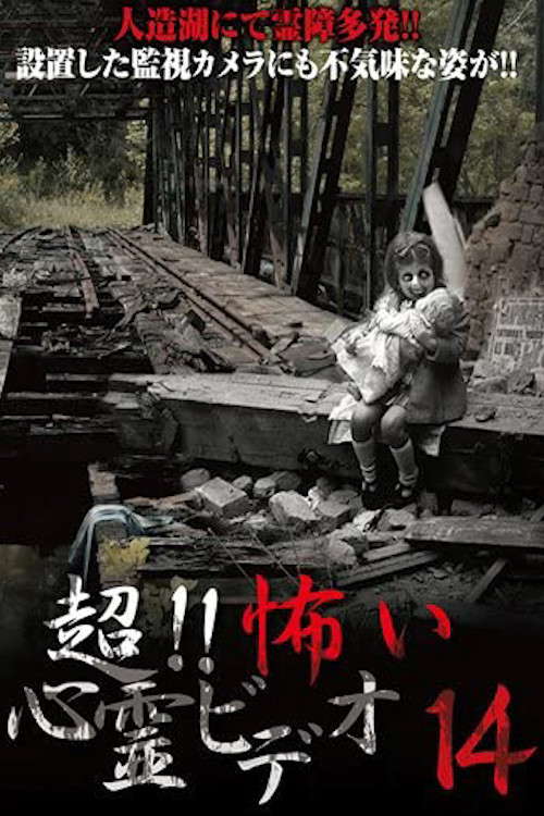 Super!! Scary Psychic Video 14 poster