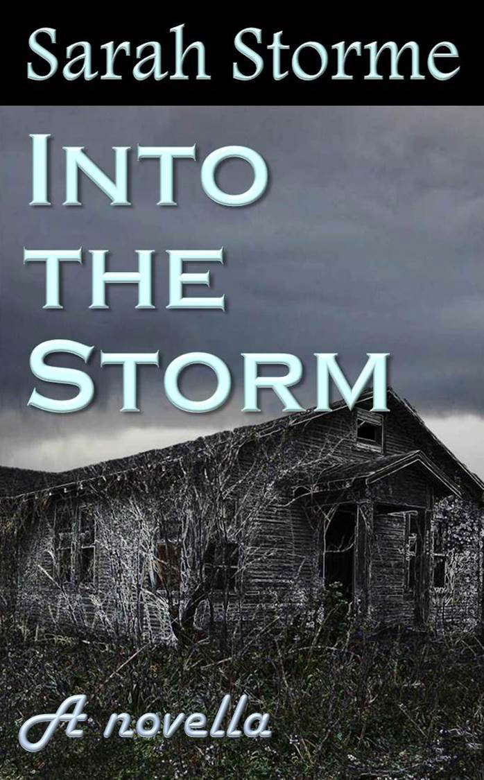 Into the Storm: A novella poster