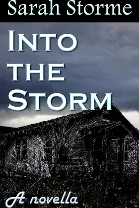 Into the Storm: A novella poster