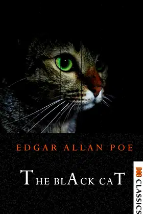 The Black Cat poster