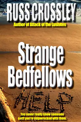 Strange Bedfellows poster