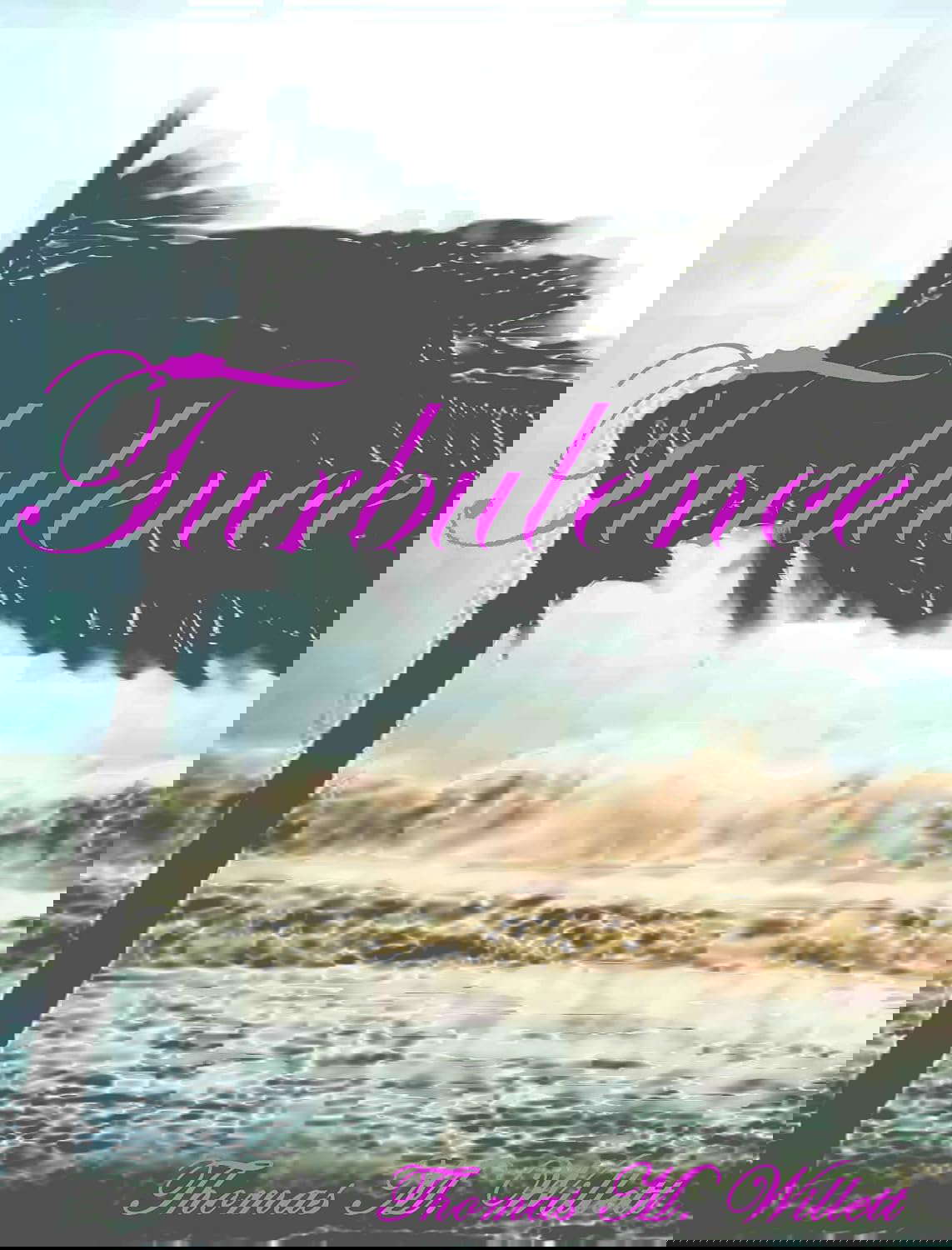 Turbulence poster