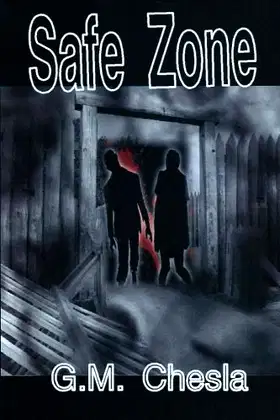 Safe Zone poster