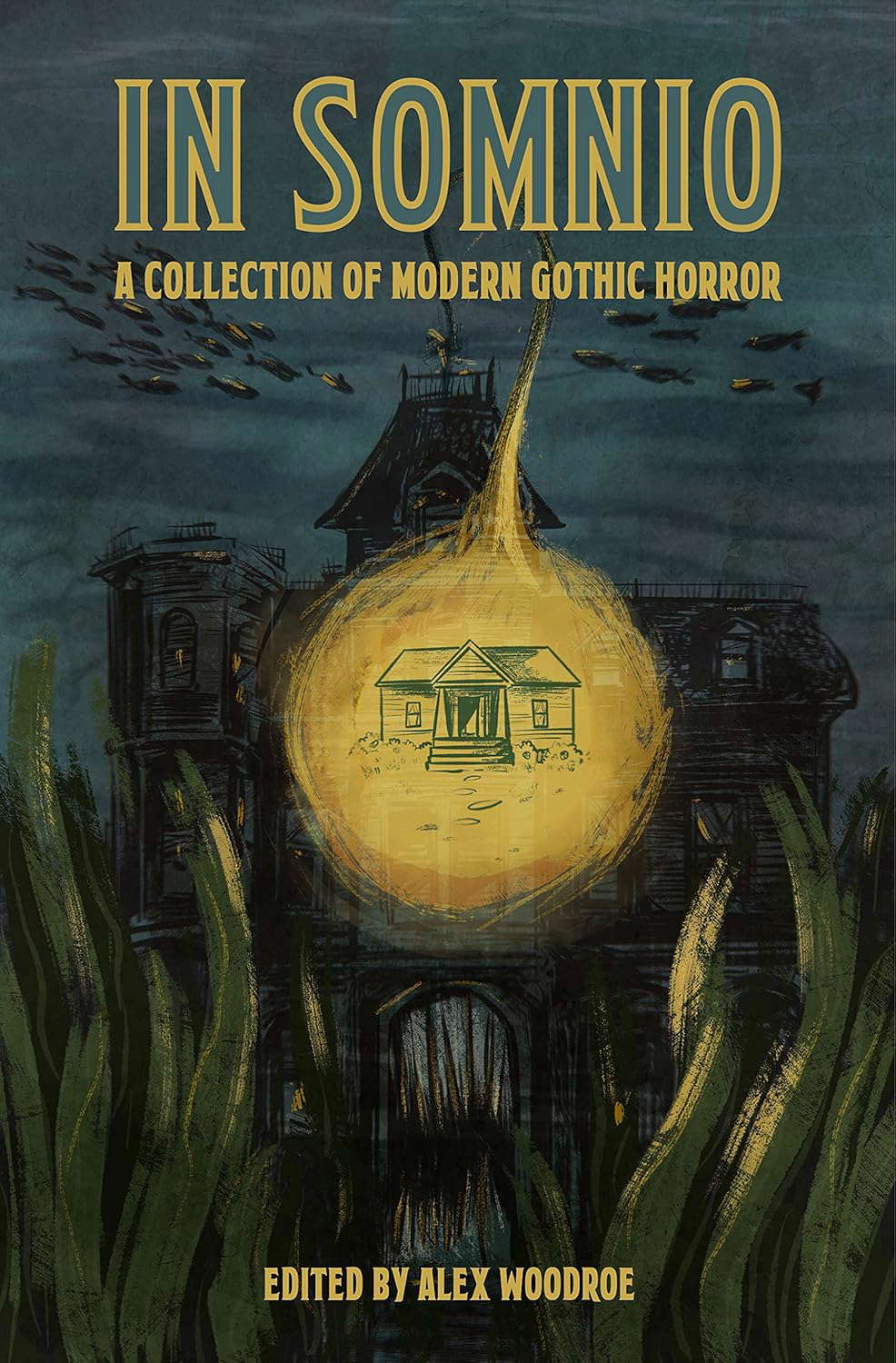 In Somnio: A Collection of Modern Gothic Horror poster