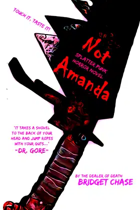 Not Amanda poster