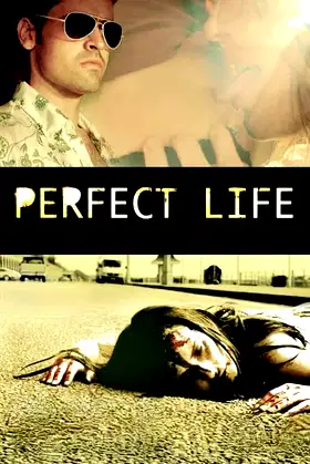 Perfect Life poster