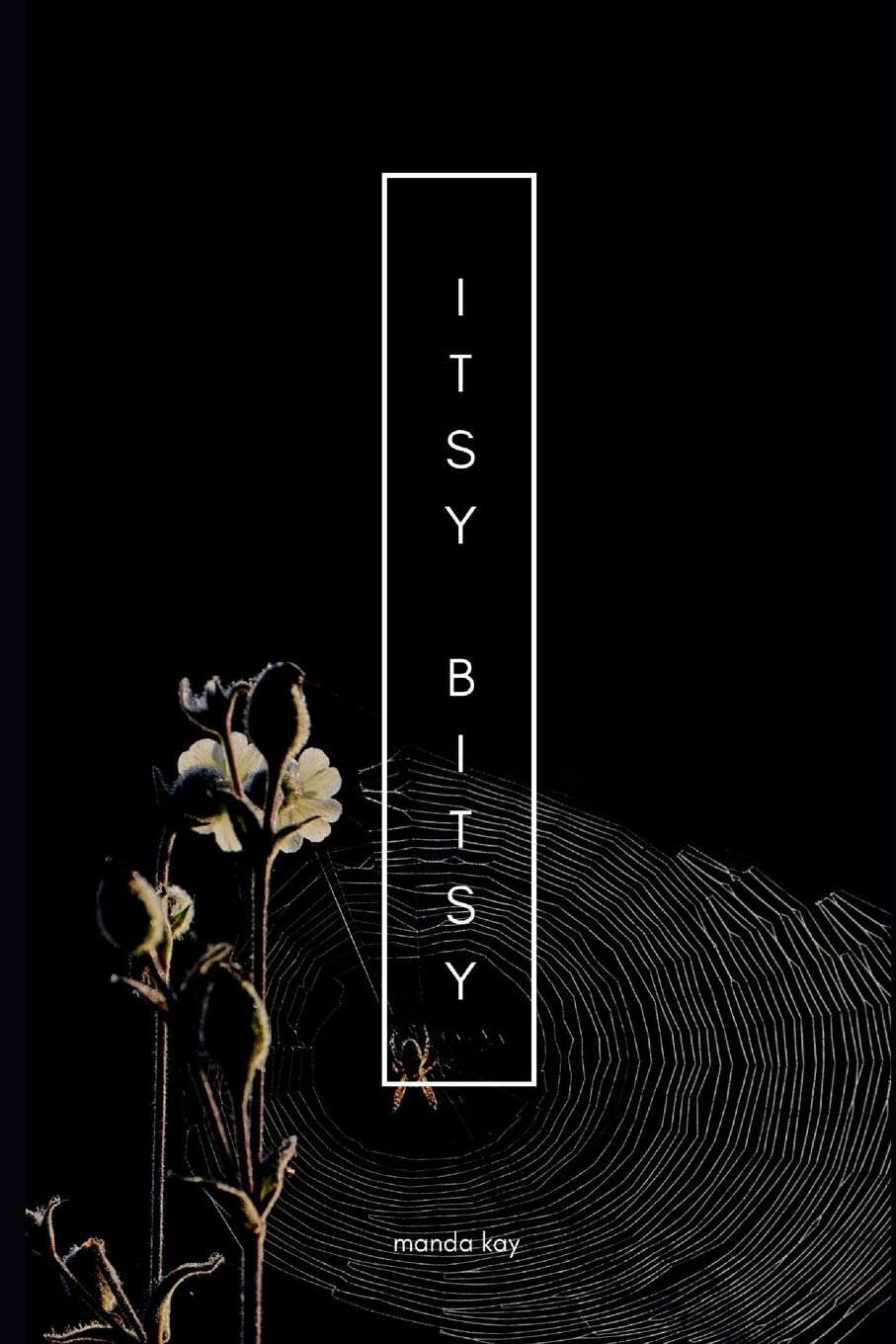 Itsy Bitsy poster