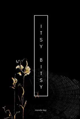 Itsy Bitsy poster