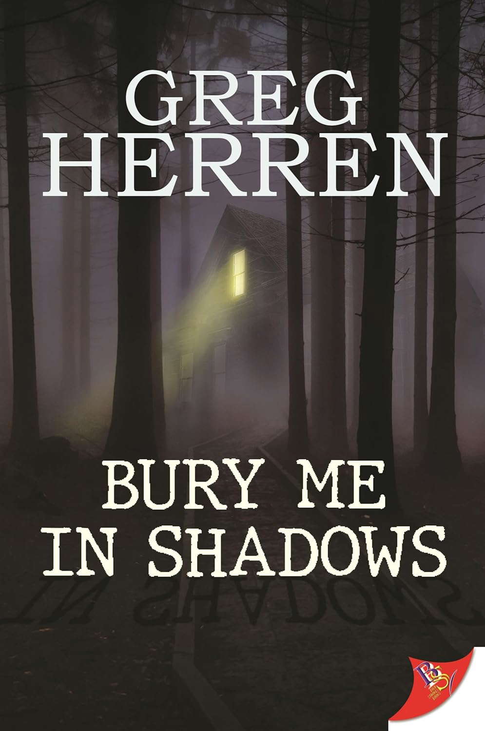 Bury Me in Shadows poster