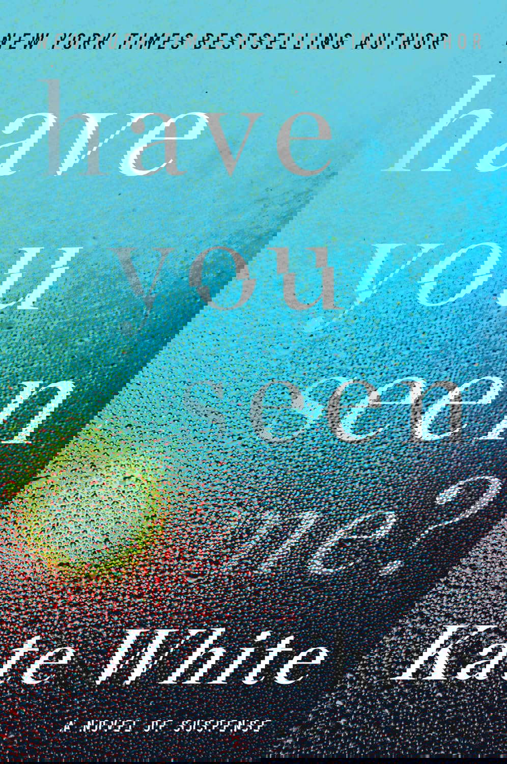 Have You Seen Me?: A Novel of Suspense poster