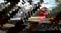 episode poster