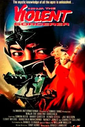 Ninja, the Violent Sorceror poster