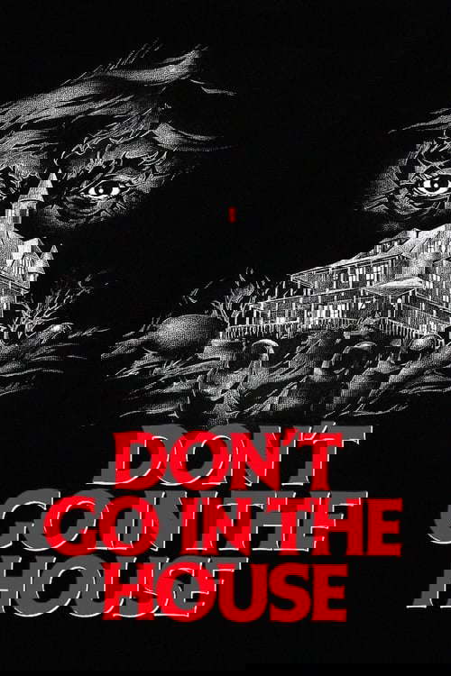 Don't Go in the House poster