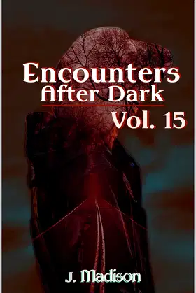Encounters After Dark: Volume 15 poster