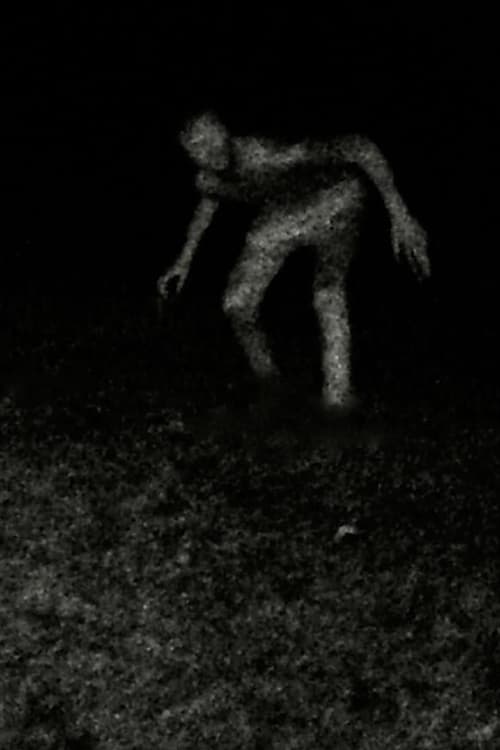 Stalking poster