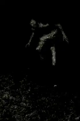 Stalking poster
