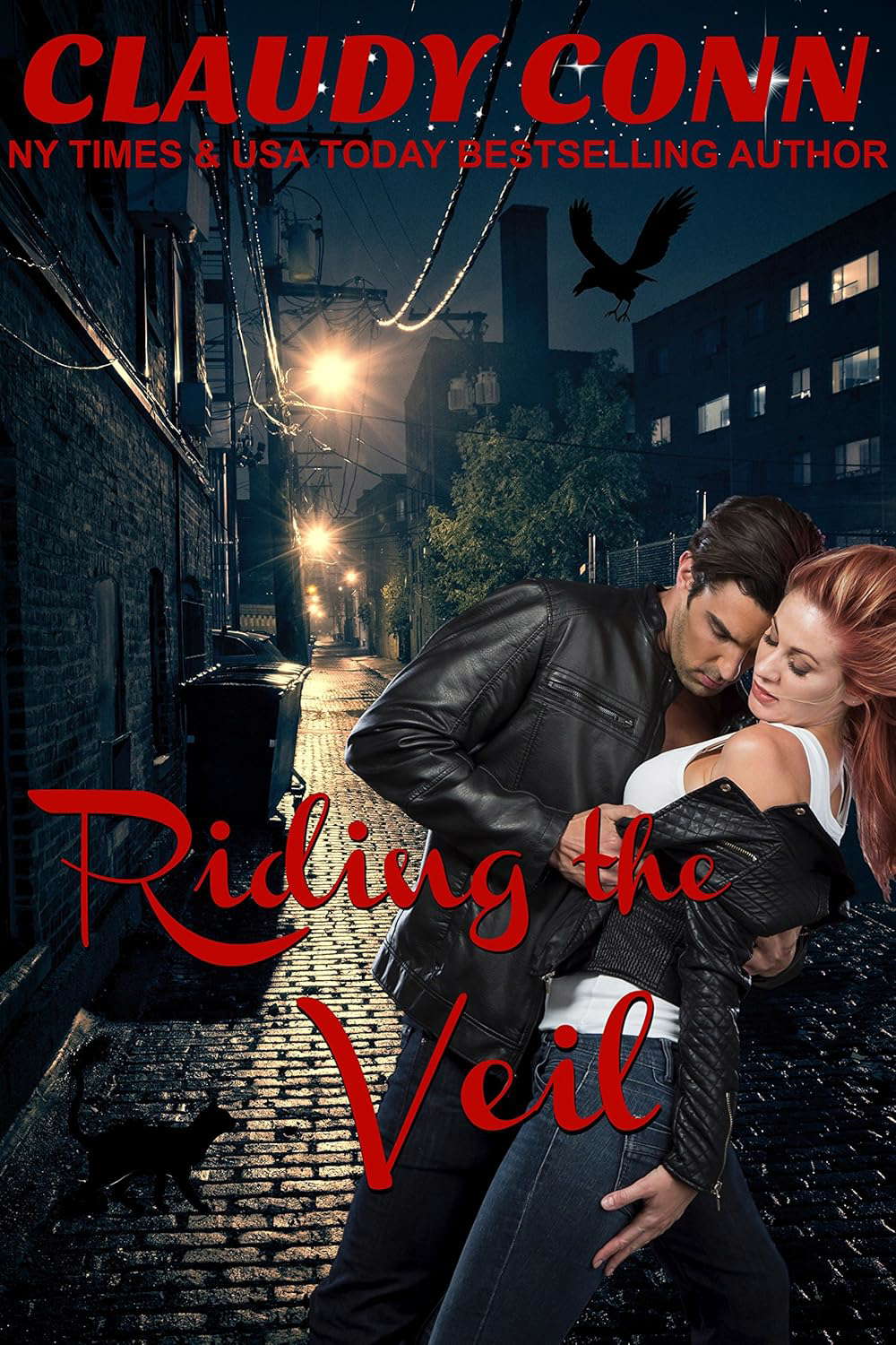Riding the Veil poster