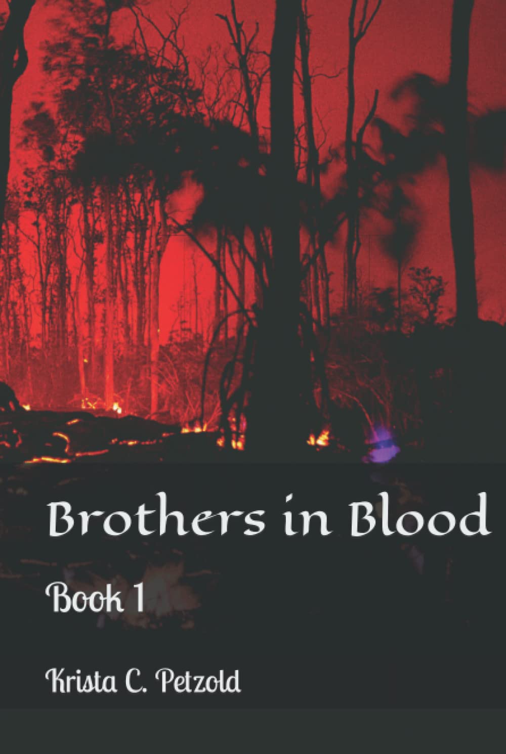 Brothers in Blood: Book 1 poster