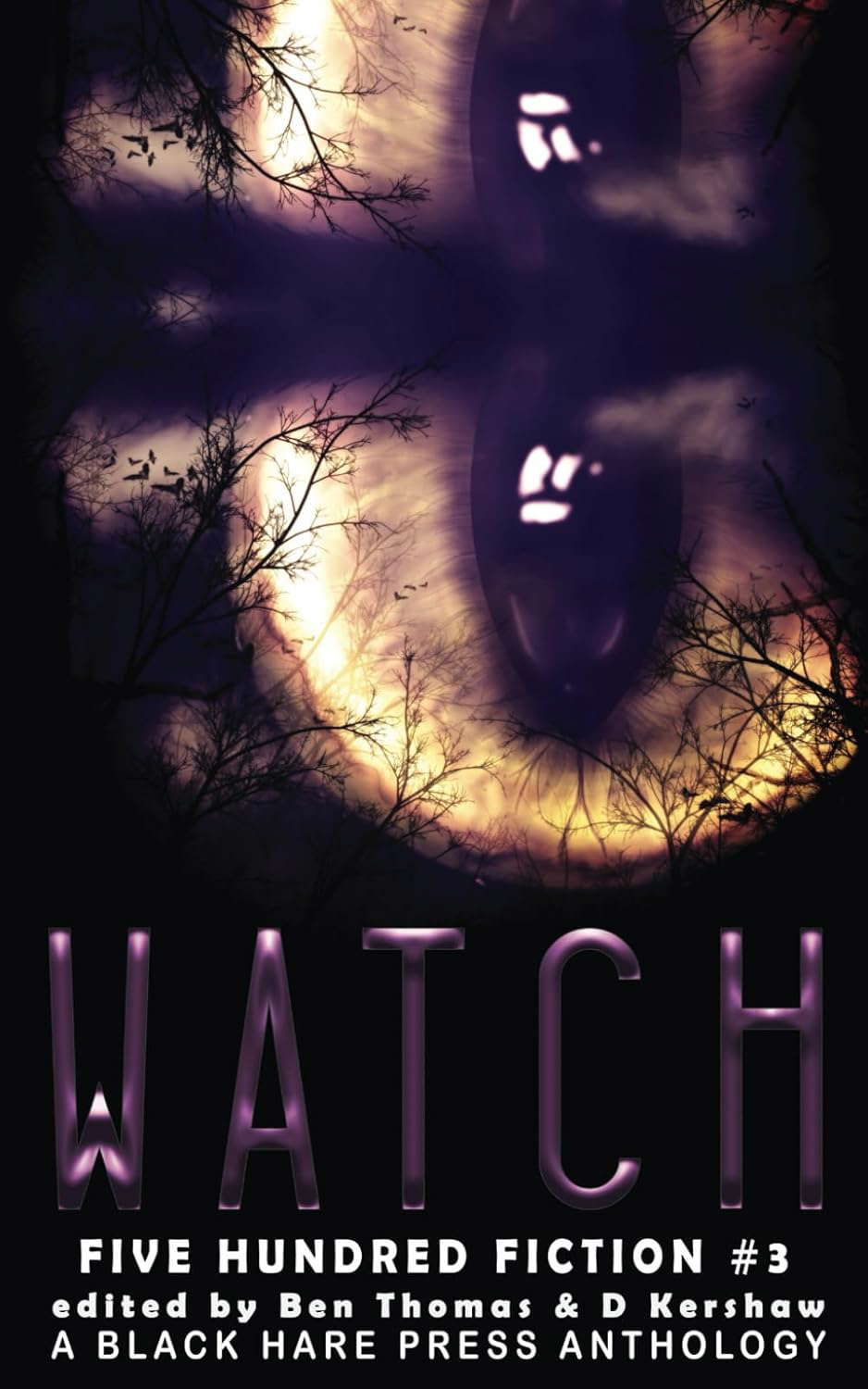 WATCH: A Stalking Anthology (Five Hundred Fiction) poster