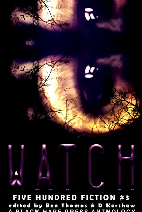 WATCH: A Stalking Anthology (Five Hundred Fiction) poster