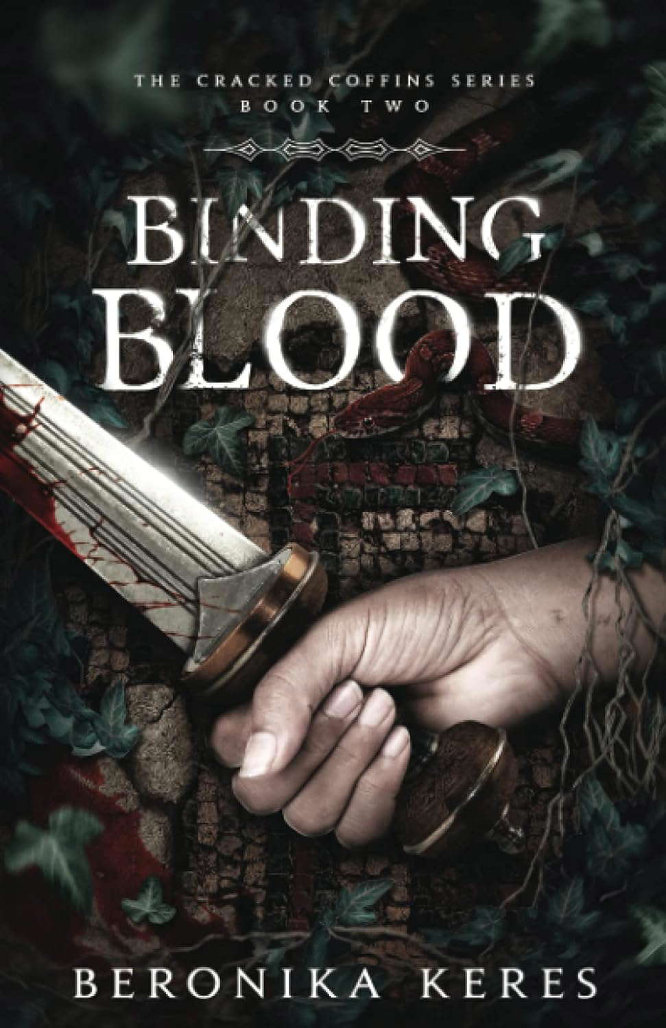 Binding Blood (The Cracked Coffins Series) poster