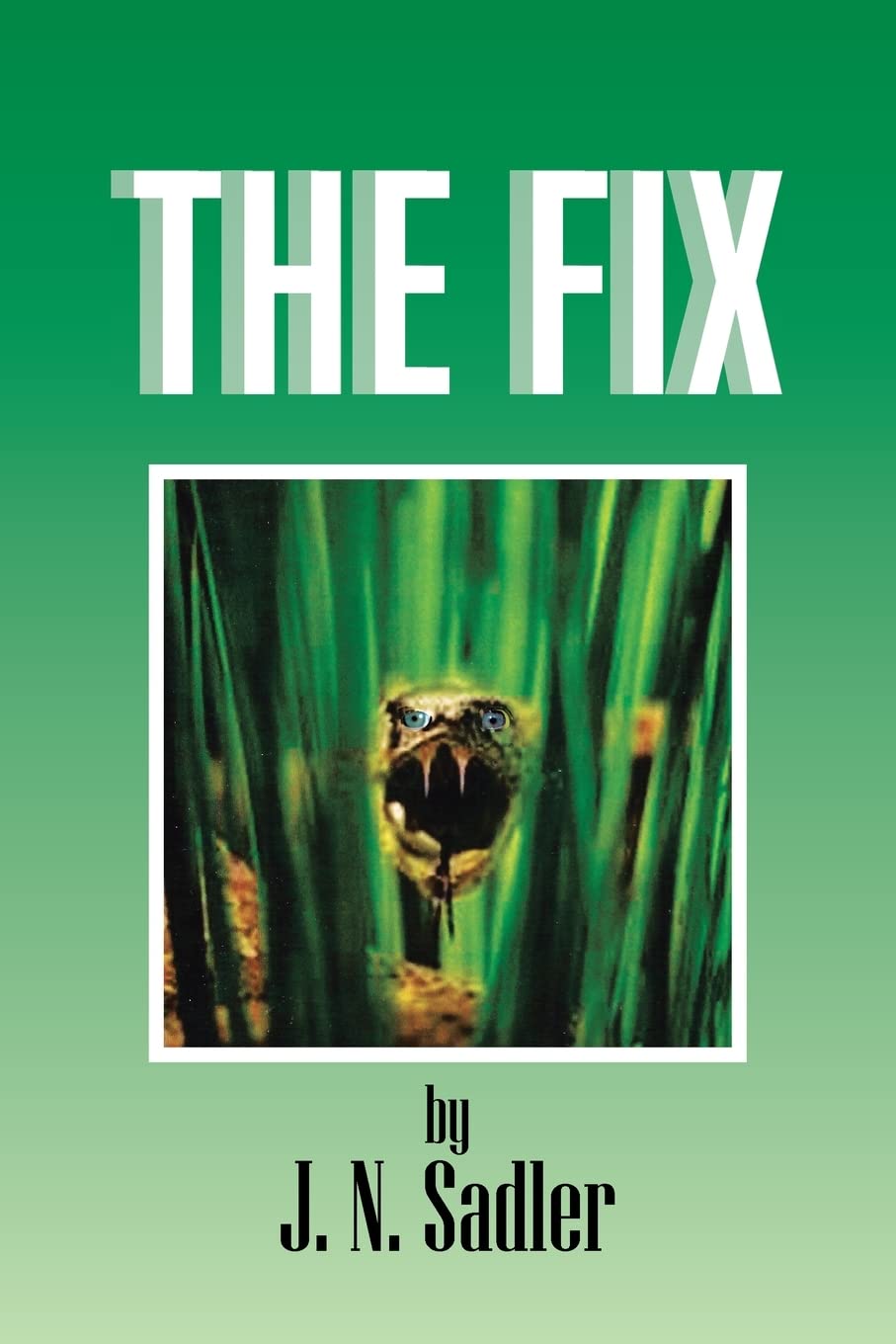 The Fix poster