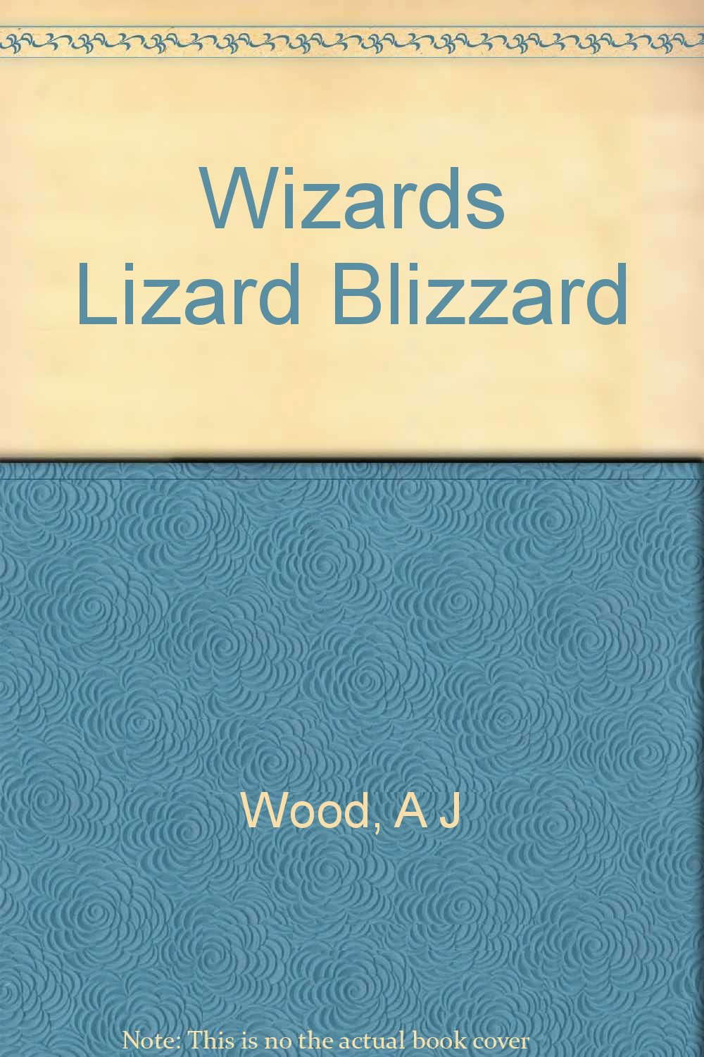 Wizards Lizard Blizzard poster