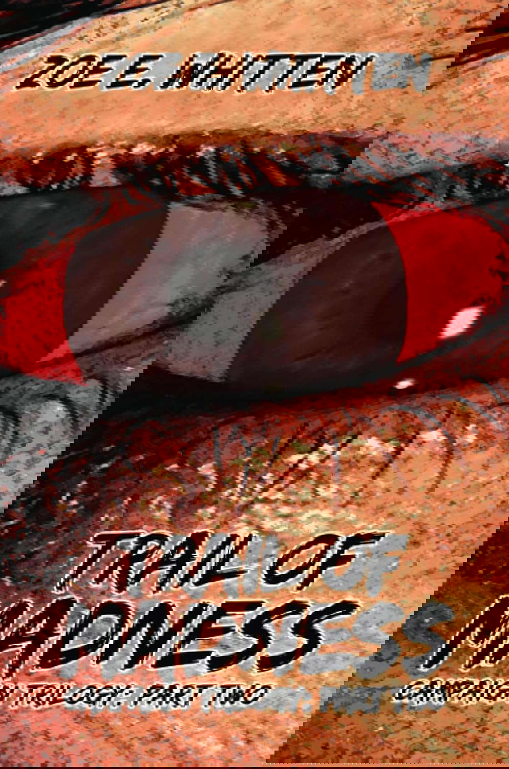 Trail of Madness poster