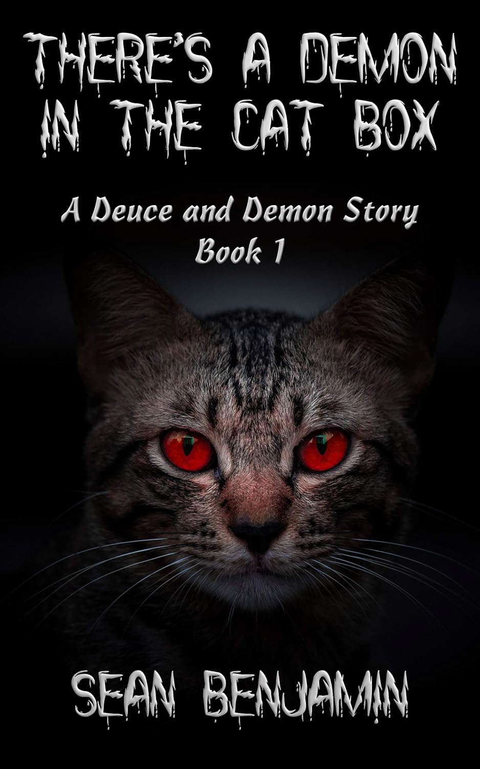 There's a Demon in the Cat Box (A Deuce and Demon Story Book 1) poster