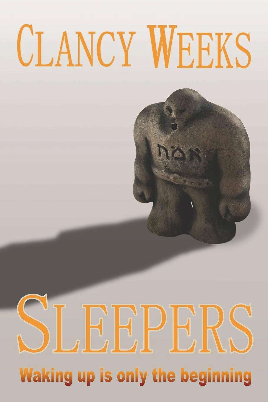 Sleepers poster