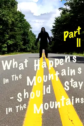 What Happens in the Mountains, Should Stay in the Mountains Part ll poster