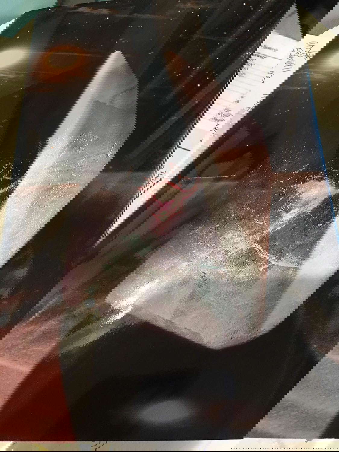 The Link poster