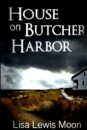 House On Butcher Harbor poster