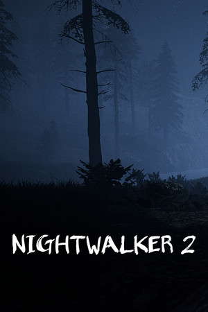 Nightwalker 2 poster