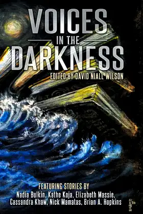Voices in the Darkness poster