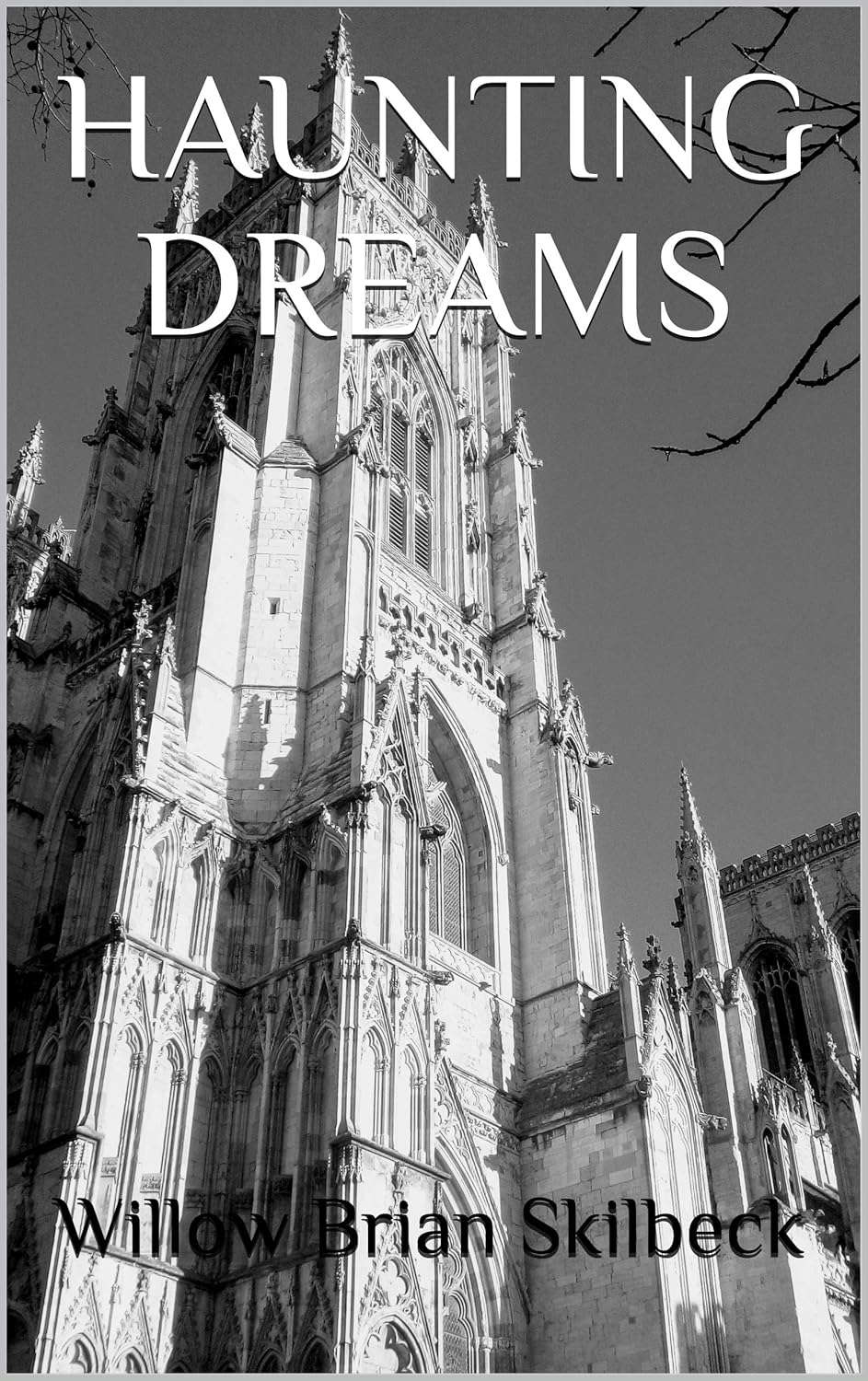 HAUNTING DREAMS poster