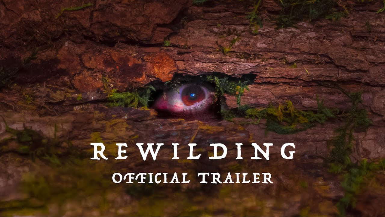 Poster for Rewilding
