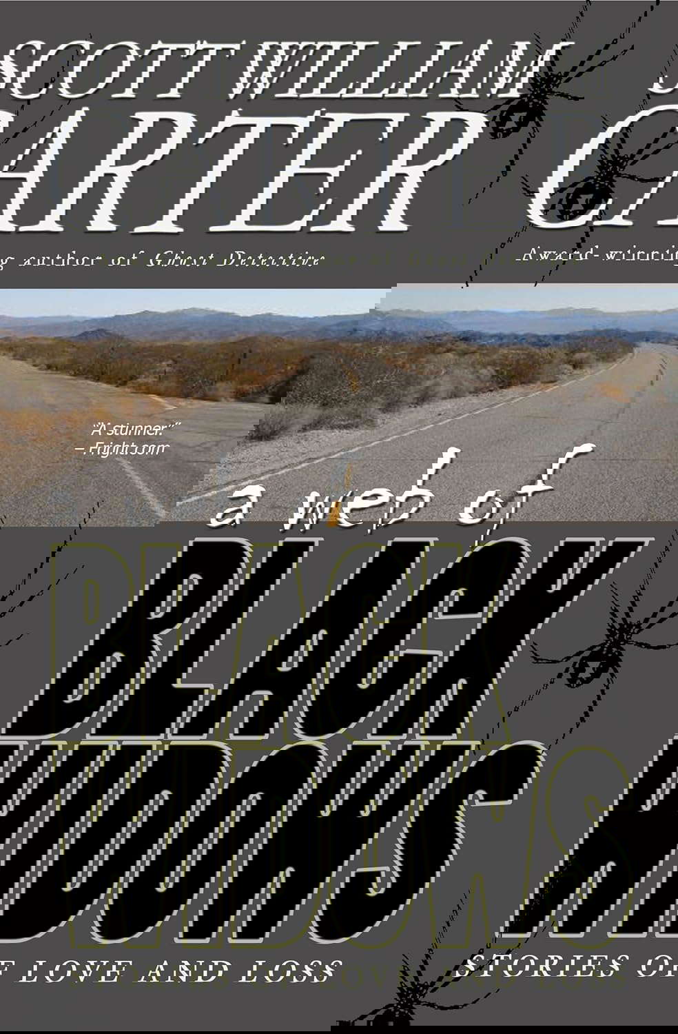 A Web of Black Widows poster