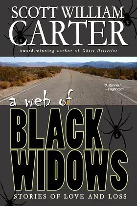 A Web of Black Widows poster