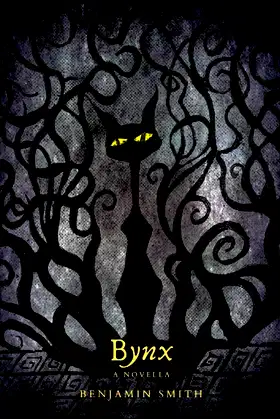 Bynx: a novella poster