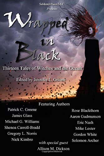 Wrapped In Black: Thirteen Tales of Witches and the Occult poster