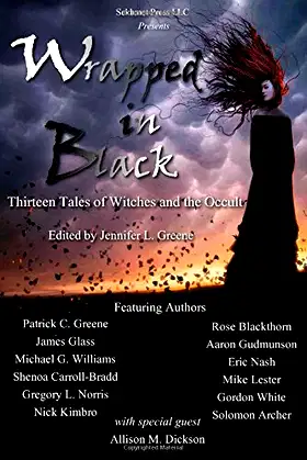 Wrapped In Black: Thirteen Tales of Witches and the Occult poster