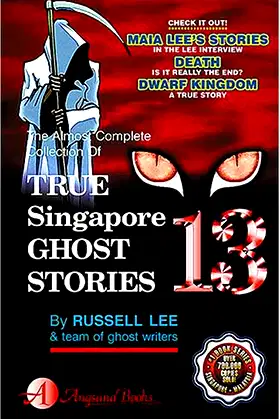 True Singapore Ghost Stories Book 13 poster