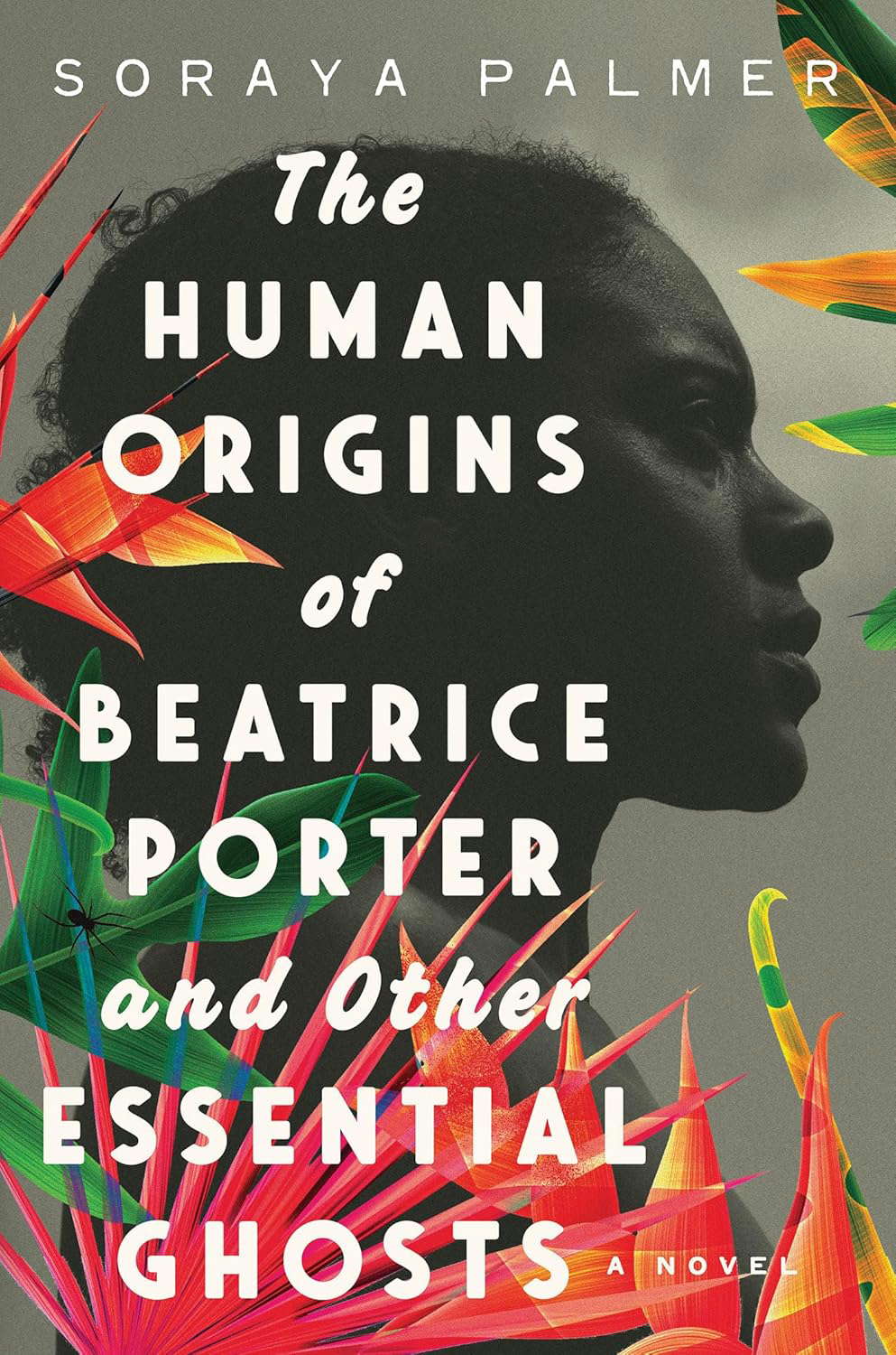 The Human Origins of Beatrice Porter and Other Essential Ghosts: A Novel poster