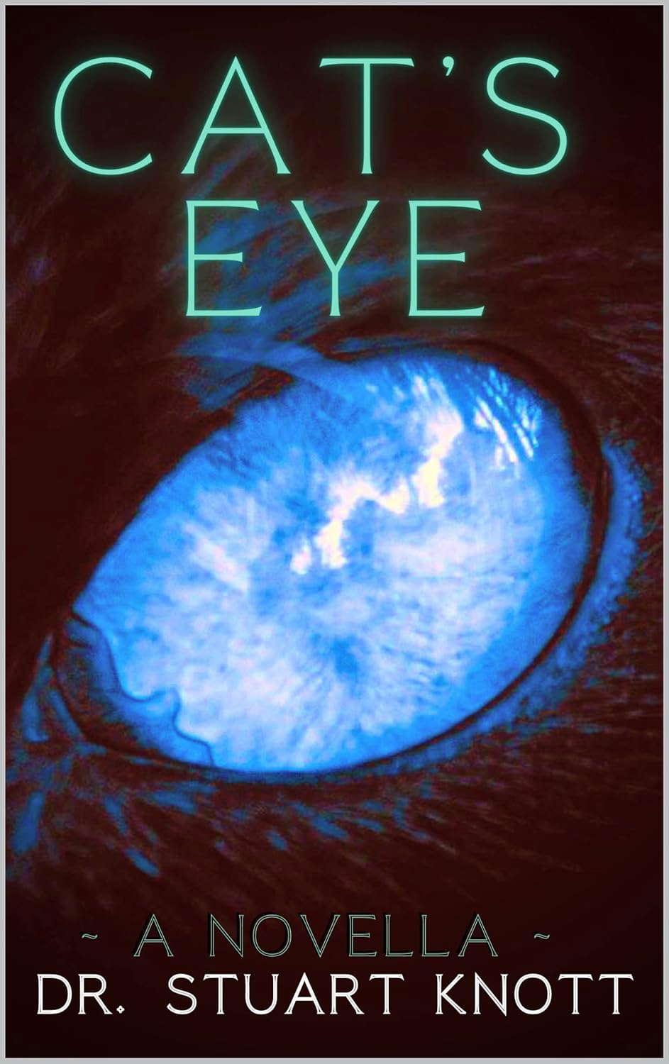 Cat's Eye: A Novella (Whispers from the Black Book 3) poster