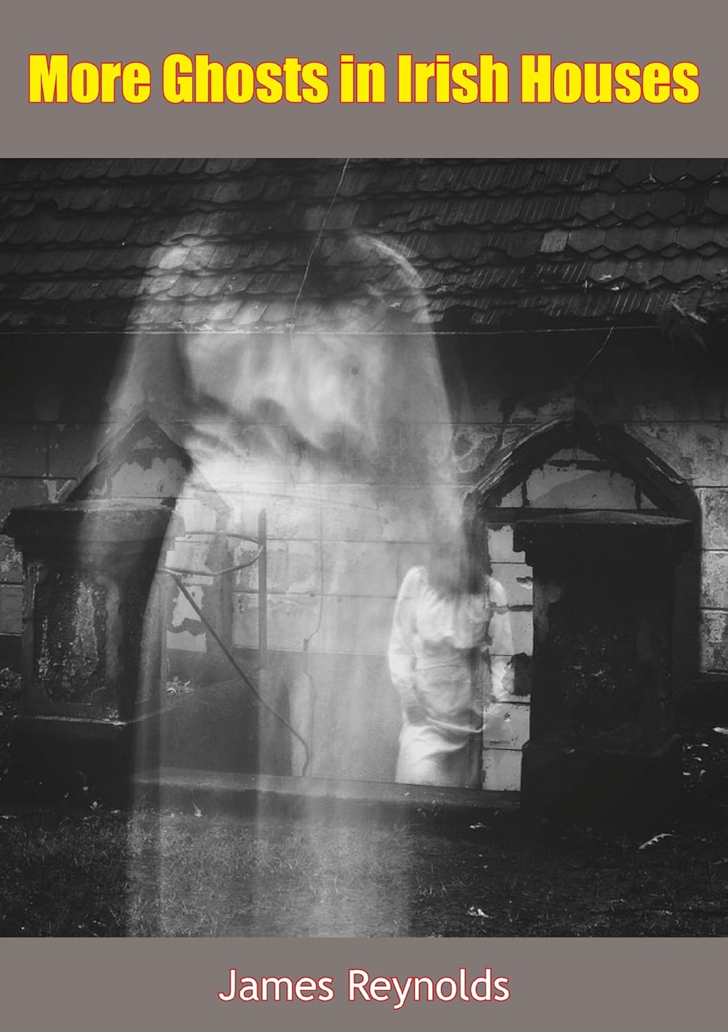 More Ghosts in Irish Houses poster