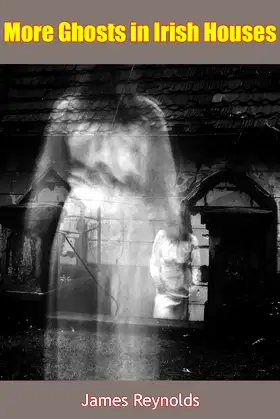More Ghosts in Irish Houses poster