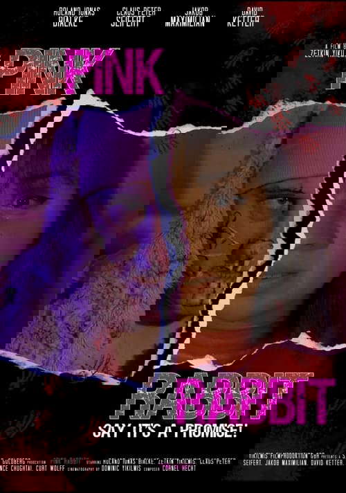 Pink Rabbit poster