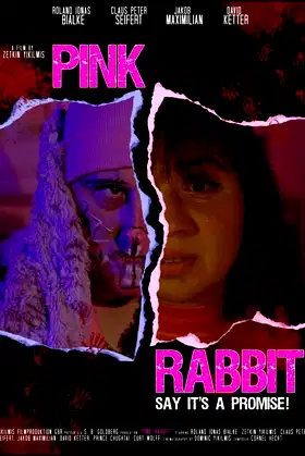 Pink Rabbit poster